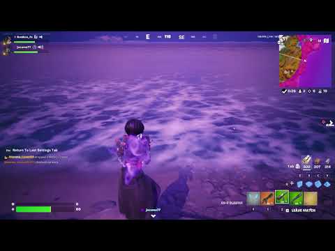 Unusual Fortnite Glitch for Enthusiasts screenshot
