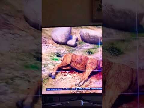 Hunting Glitch in GTA 5 Online screenshot