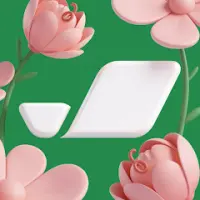 Platiza RU — Open App (New Users)