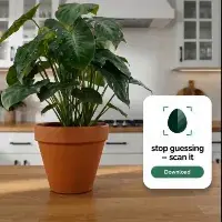 Beleaf: Plant ID & Care
