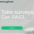 Take Surveys, Get Paid
