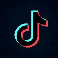 Install Tiktok & Run it 
