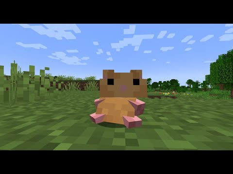 Adorable Hamster Pets: Companionship at Home screenshot