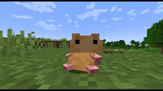 Adorable Hamster Pets: Companionship at Home thumbnail