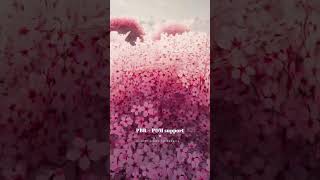 Realistic Cherry Blossom Fall Texture - A Petal Wonderland thumbnail